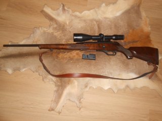 Selbstladebüchse H&K, Selbstlader, Heckler & Koch