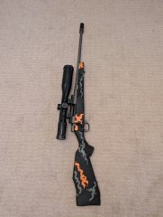 Weatherby Vanguard