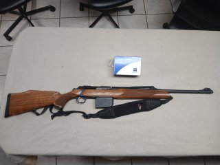 Sauer 303