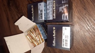 200st Sellier & Bellot .308 Win 180grs 11,7g SP