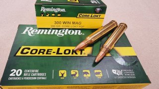 .300WinMag/180grs Core-Lokt PSP Remington 20 stk. # SSZ Berka
