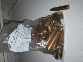 .300 win. mag. Hülsen RWS