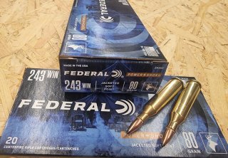 .243/80grs. Federal JSP Power Shok 20 stk. No. 243AS