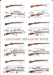 Poster " Anatomy : Rifles of WWII"