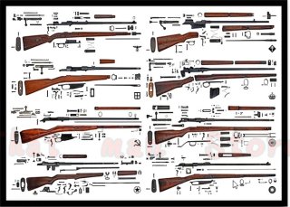 Poster " Anatomy : Carbines of WWII"