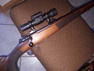 Drückjagd Rep. 7x57 Aimpoint