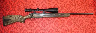 CZ550 Repetierbüchse .308W mit Bushnell Elite 3200, nicht Mauser 18 Sauer 100 Savage Winchester