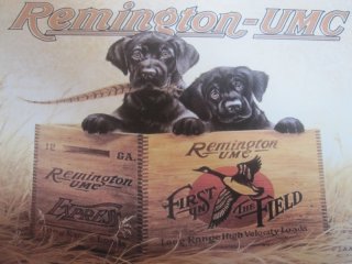 Blechwerbeschild Kopie Remington HUNDE 20x30 cm