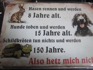 HETZE.... auf Blech 20x30 cm versandkostenfrei