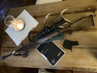 SAUER 303
