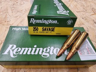 .250 Savage/100grs Soft Pointed 20 Stk. Angebot! # SSZ Berka