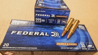 .223/55grs Power Shok Federal 20 Stk. #223A# SSZ Berka