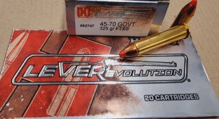 .45-70/325grs. Hornady FTX 20 Stk. No.82747 # SSZ Berka