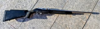Ruger 10/22 Noris