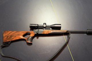 Blaser R8 Success Leder HK4 - 8x57 IS + .223 Rem - Leica Fortis 6