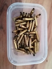 17 Hornet Hülsen