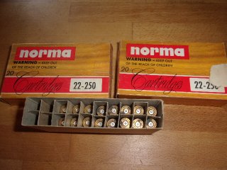 36 Hülsen 22-250 Norma