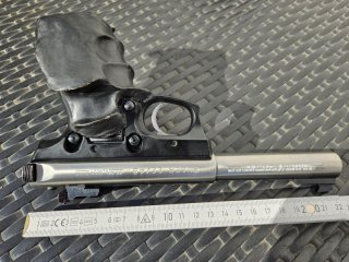 .22lr Ruger