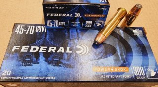 .45-70/300grs. Federal SPFP 20 Stk. No. 4570AS #