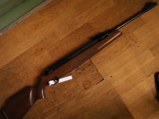 Diana Mod.54